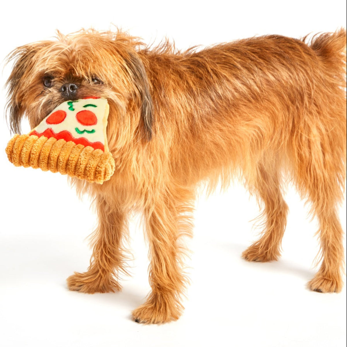 Mutt Lovers Pizza Plush Dog Toy