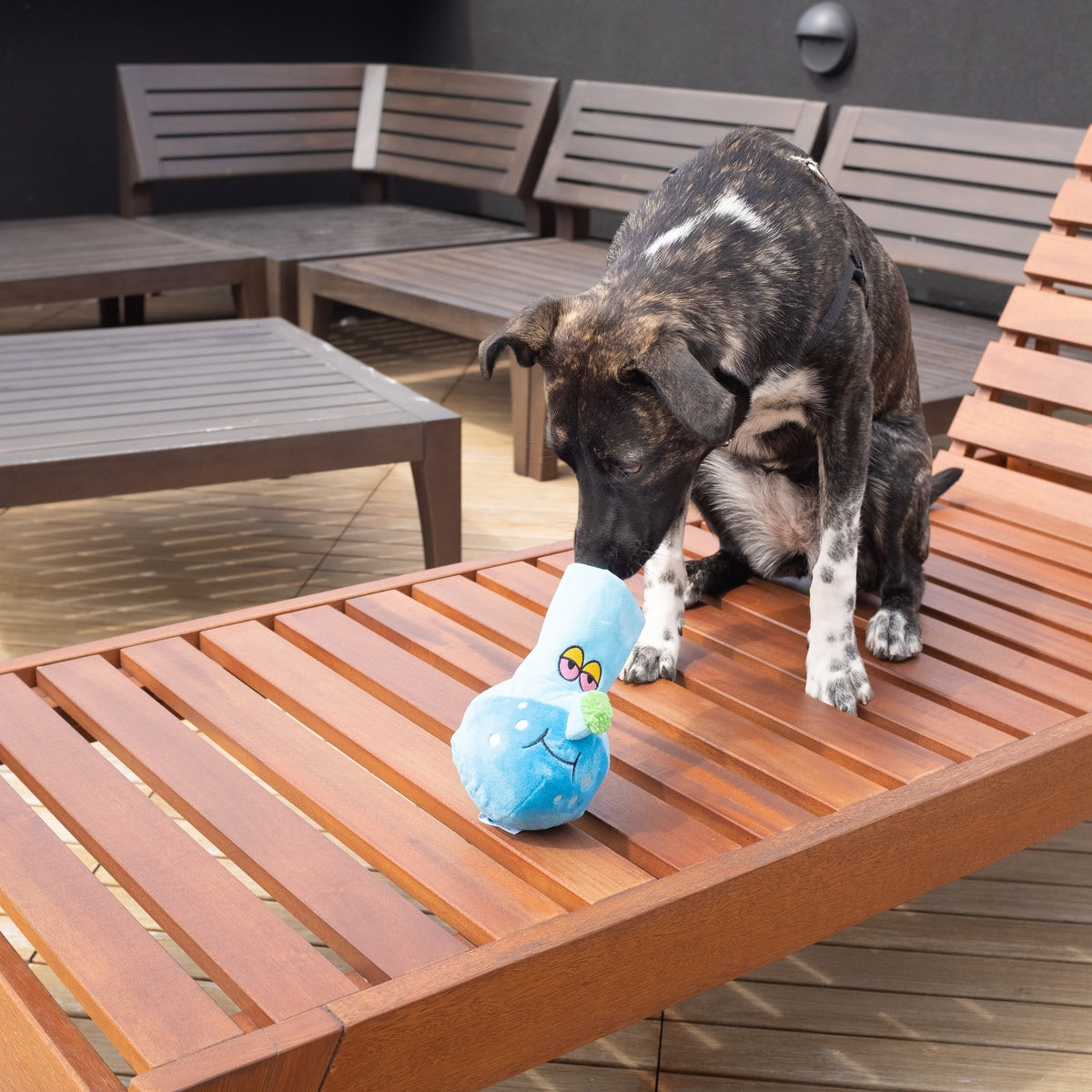 Get A Bong Lil' Doggy Plush Enrichment Dog Toy