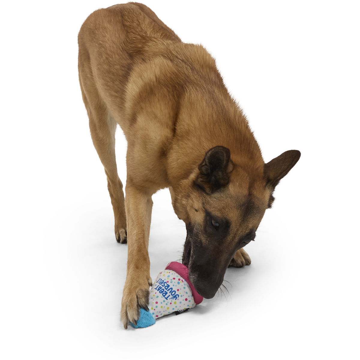 Treat Yourself Party Hat