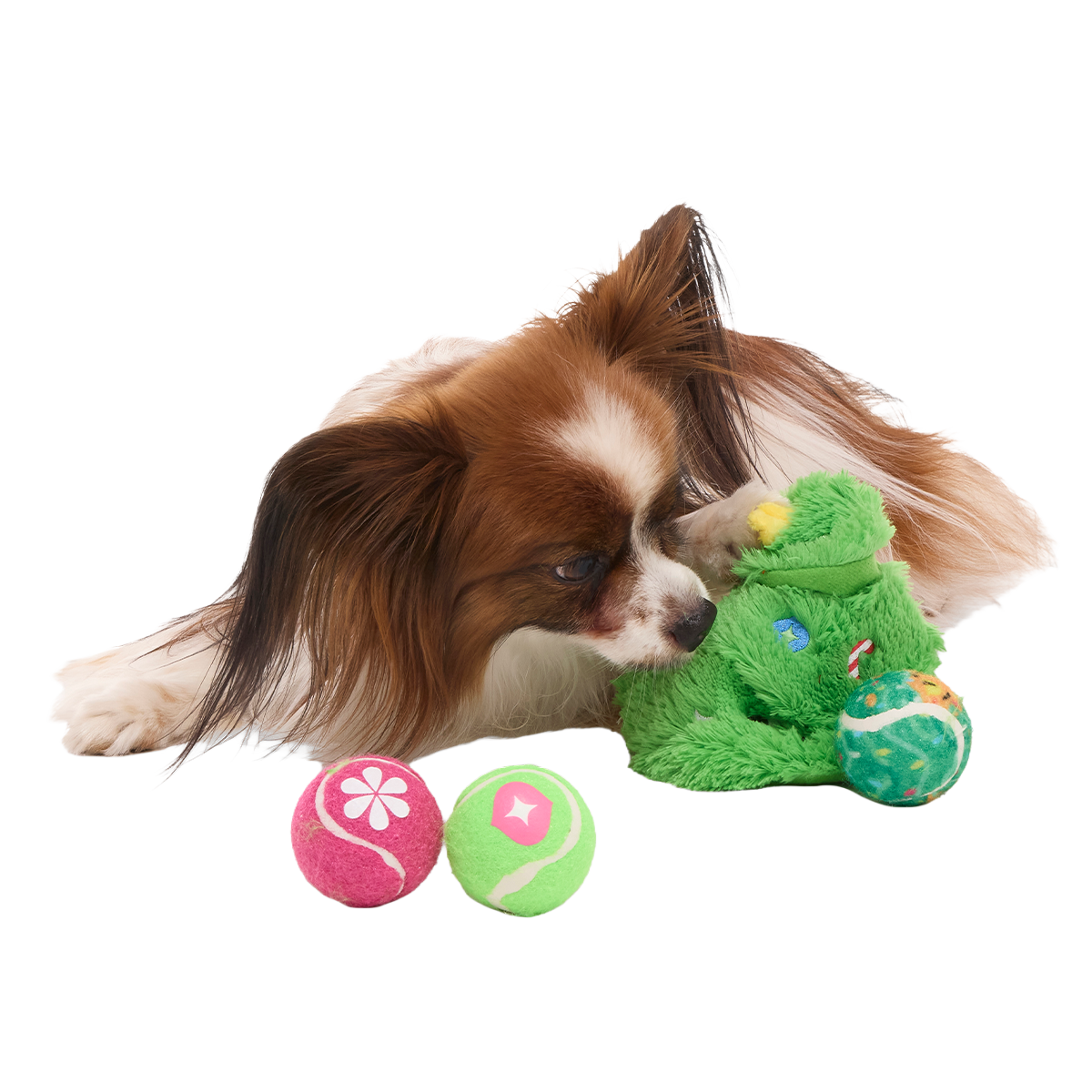 Tree's Company Plush 2-in-1 + Fetch Dog Toy