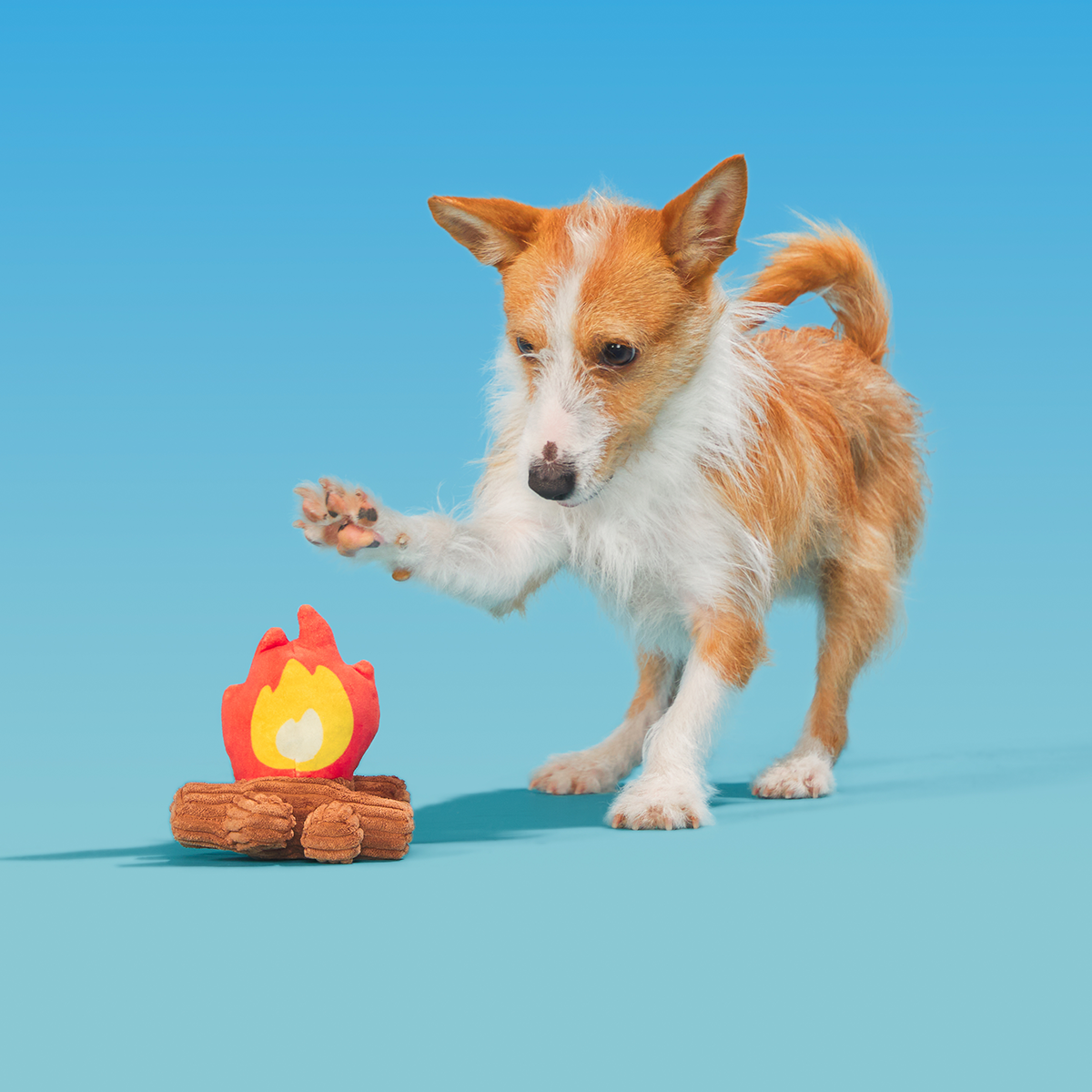 A'Hound the Campfire Plush Tug Dog Toy