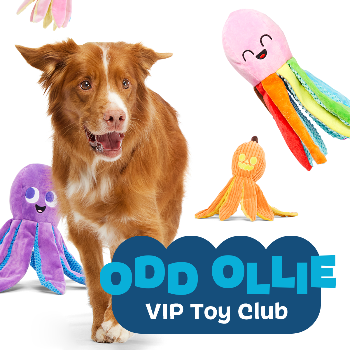 Odd Ollie VIP Toy Club