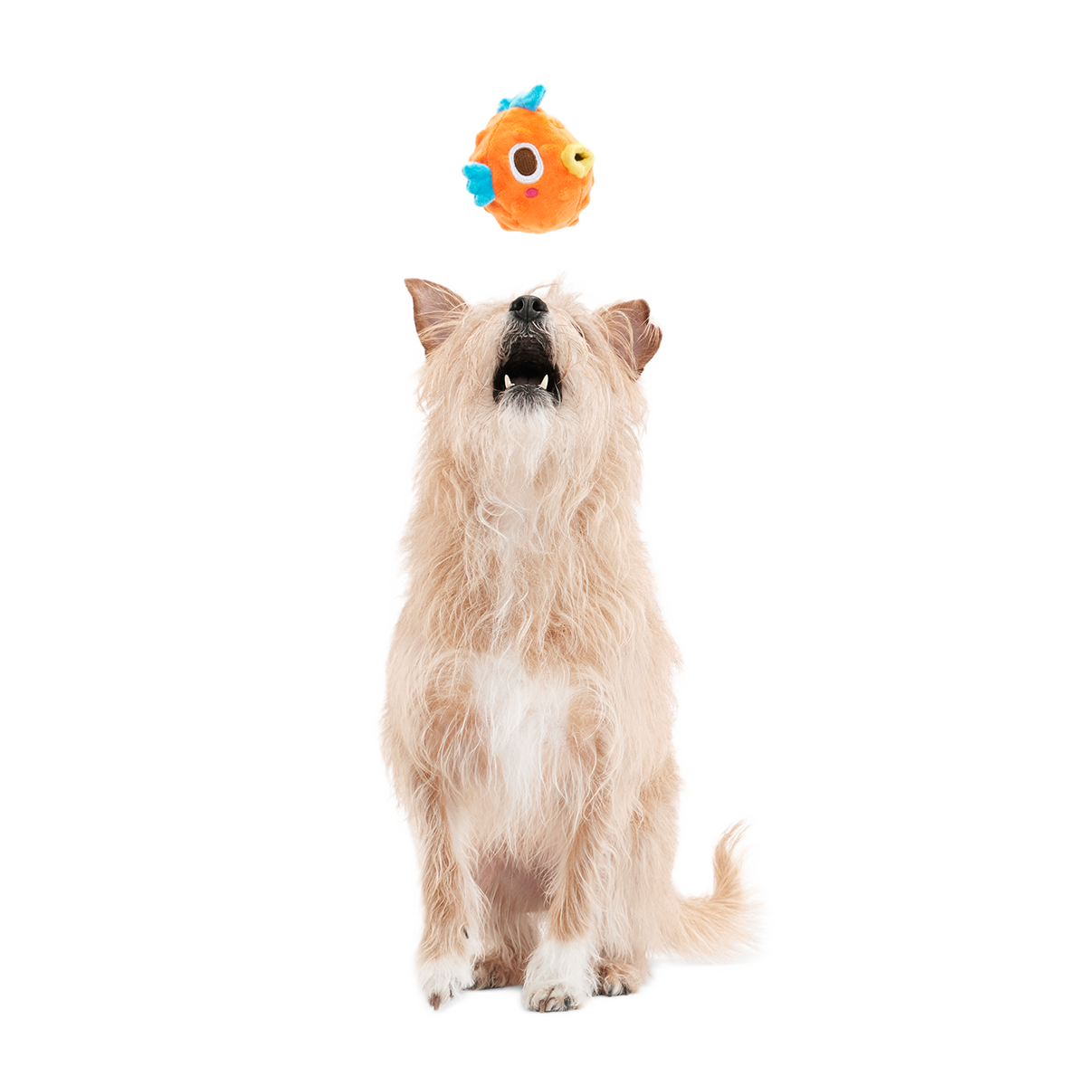 Air Head Plush 2-in-1 + Fetch Dog Toy