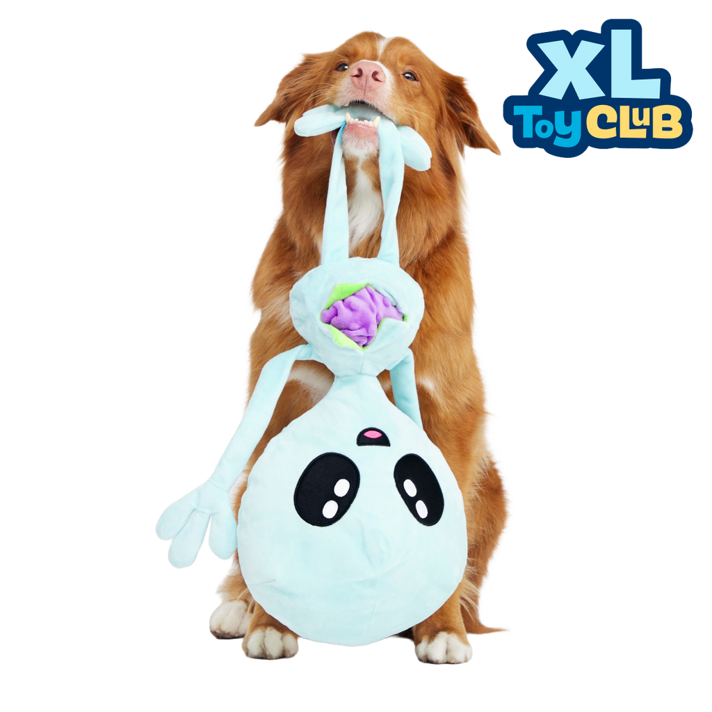 XL Toy Club - Extra-Large Plush Toys for Dogs Monthly Subscription
