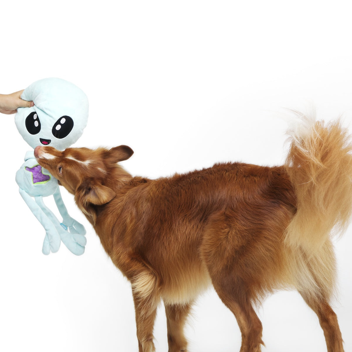Alien Gnawtopsy Plush XXL 2-in-1 + Tug + Enrichment Dog Toy