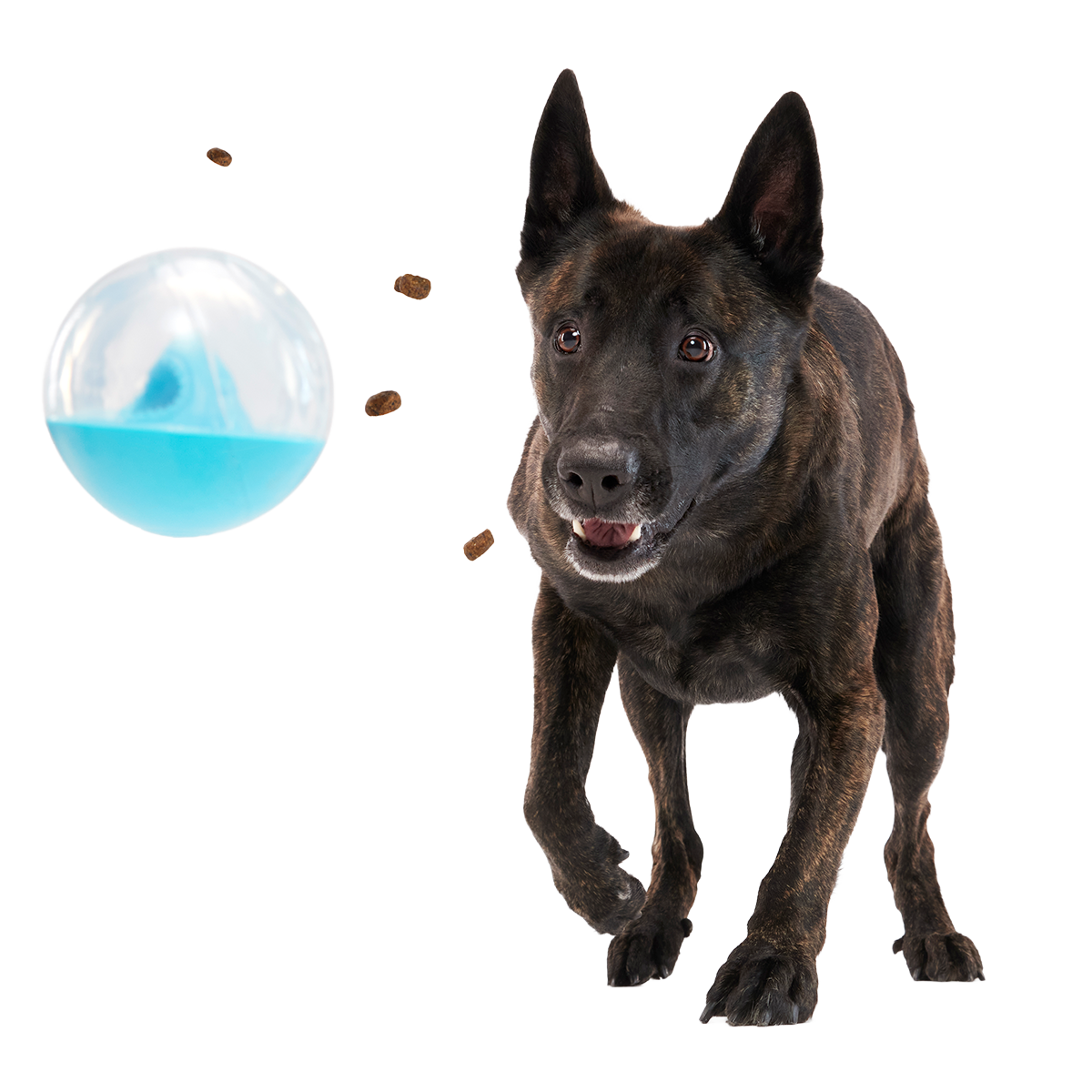 Apex Puzzler Super Chewer Durable Enrichment + Fetch Dog Toy