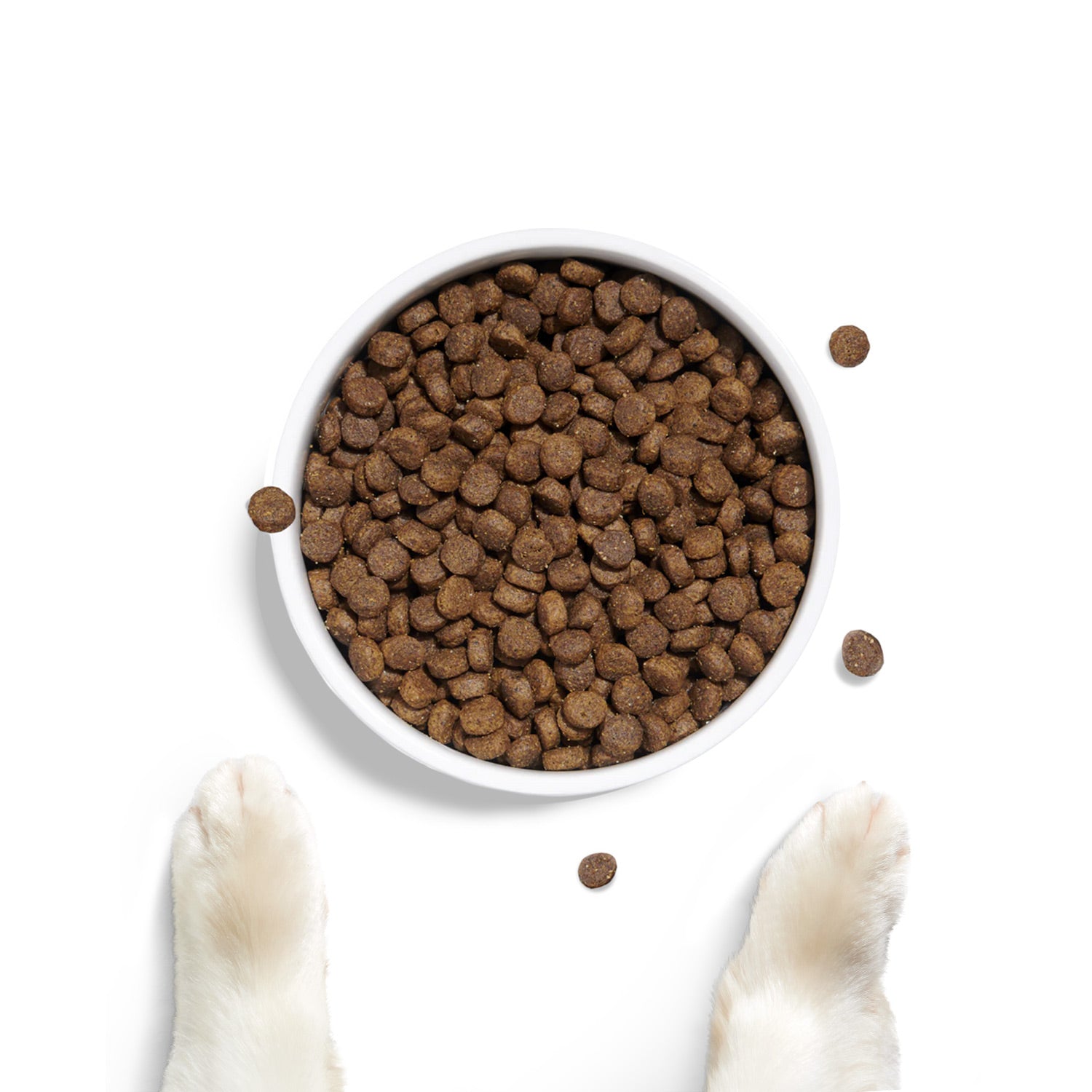 Best dry dog food for best sale australian shepherd