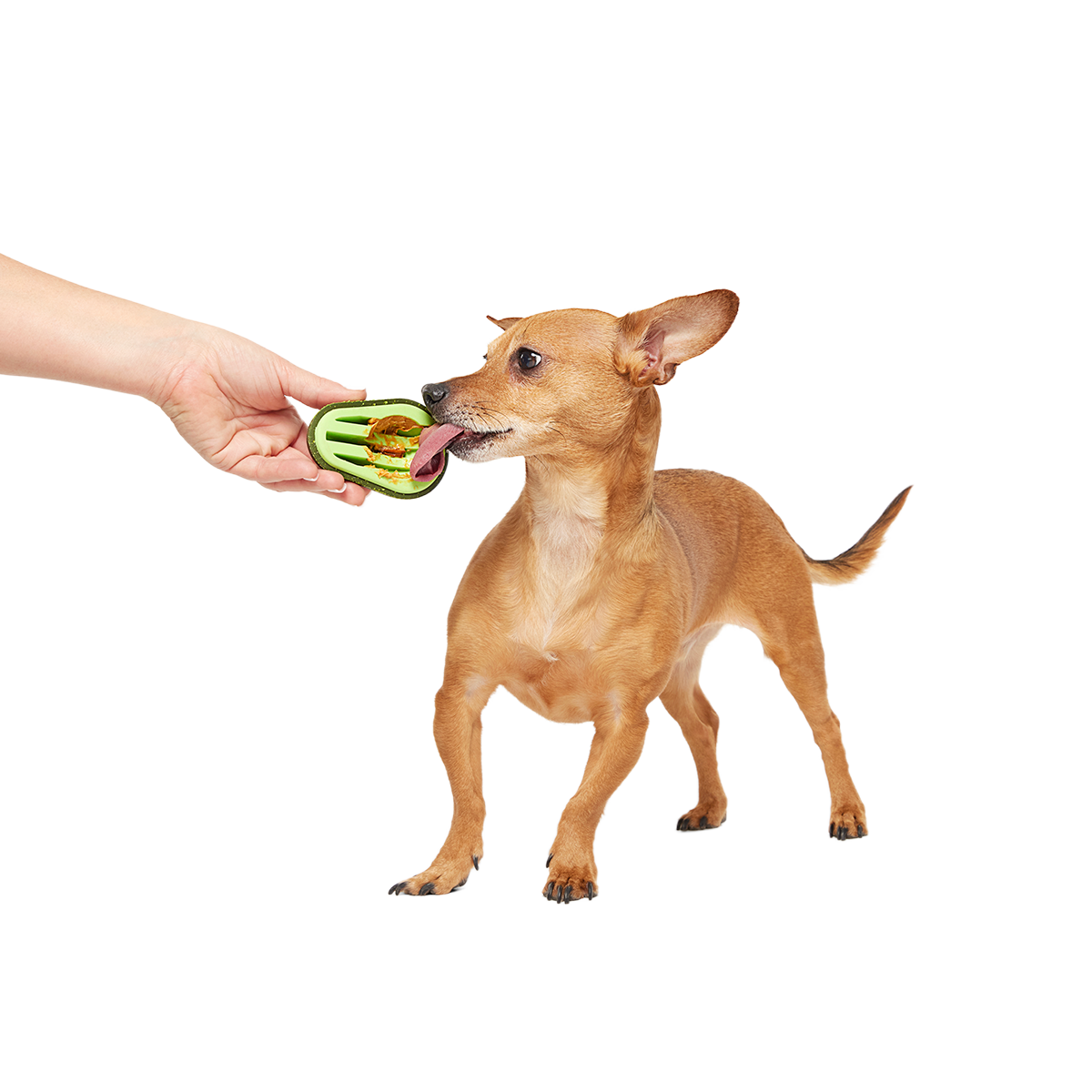 Avocadoggo Super Chewer Durable Enrichment Dog Toy