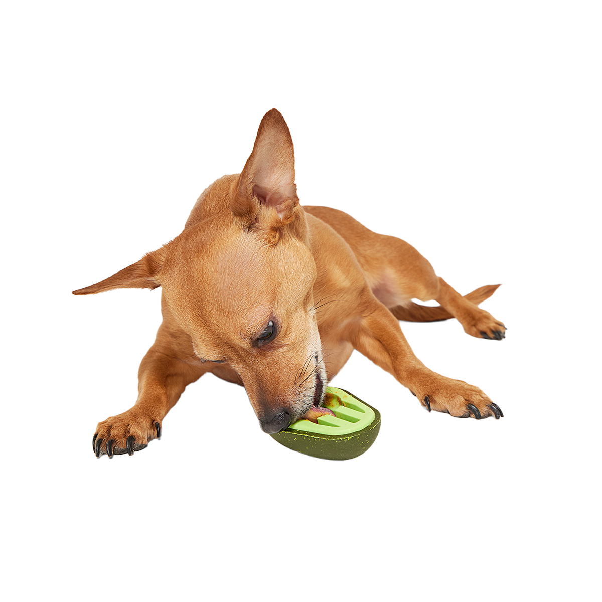 Avocadoggo Super Chewer Durable Enrichment Dog Toy