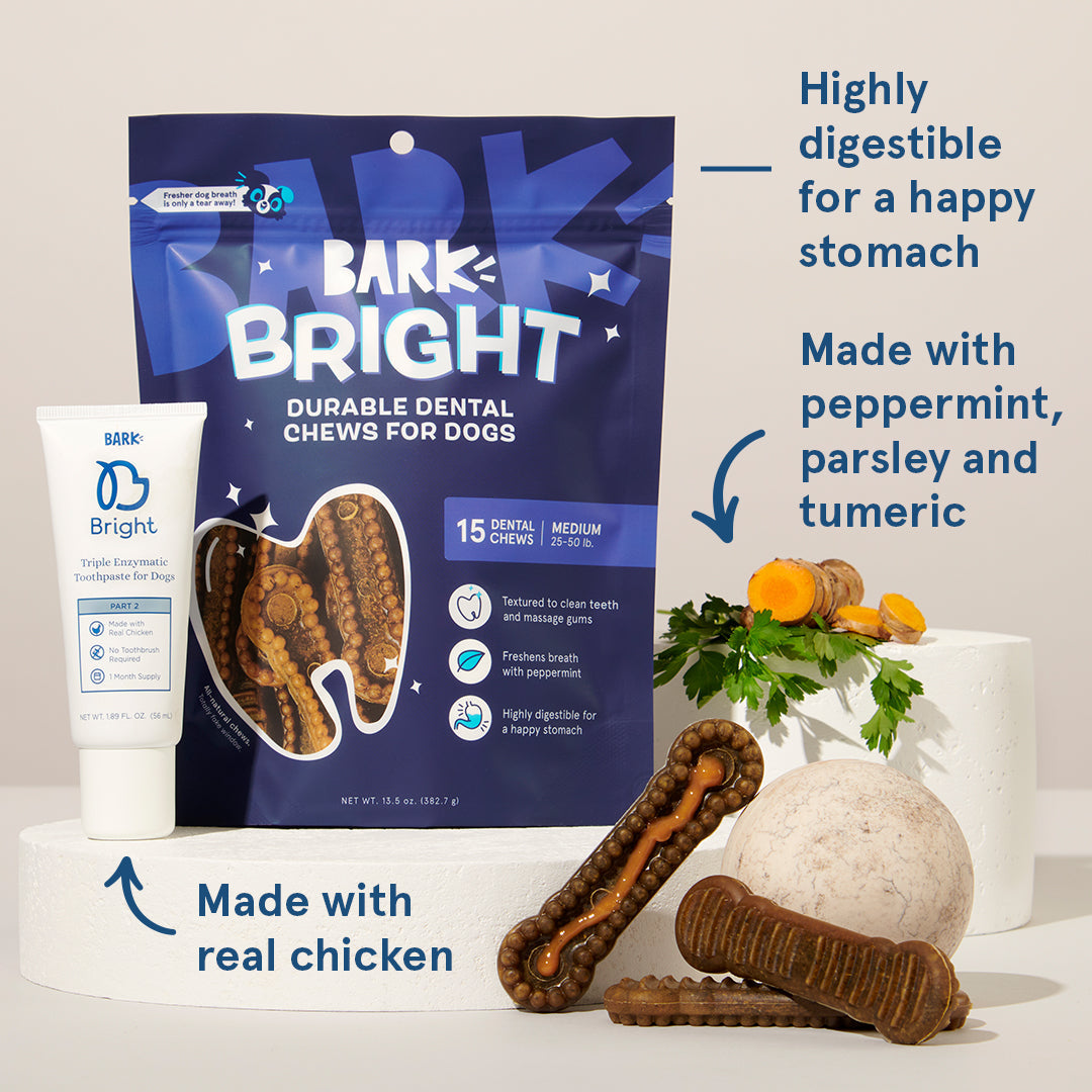 The Bright Durable Dental Kit