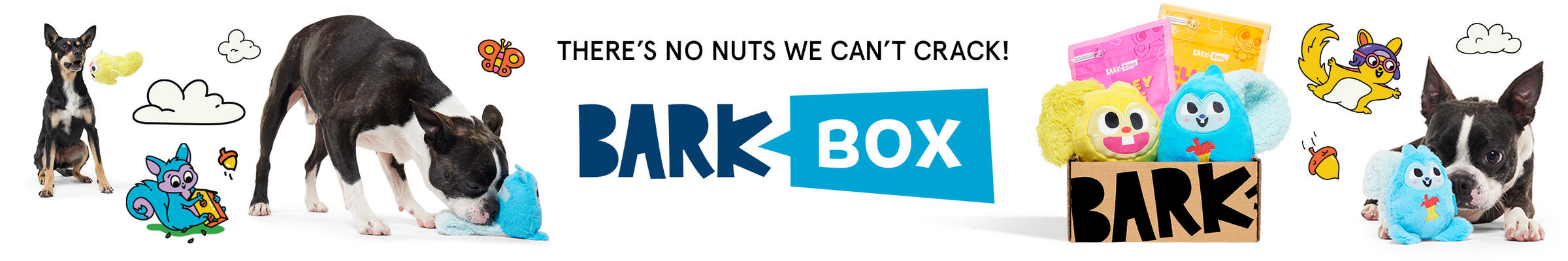 Barkbox 6 month subscription Clearance