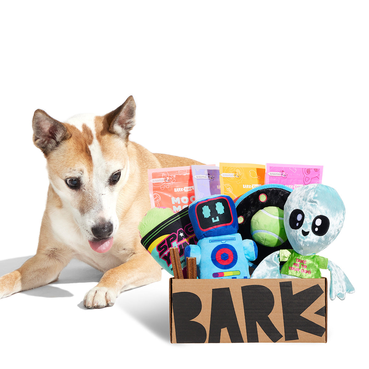 BarkBox Free Double Deluxe Upgrade: BarkBox 12 Month Subscription
