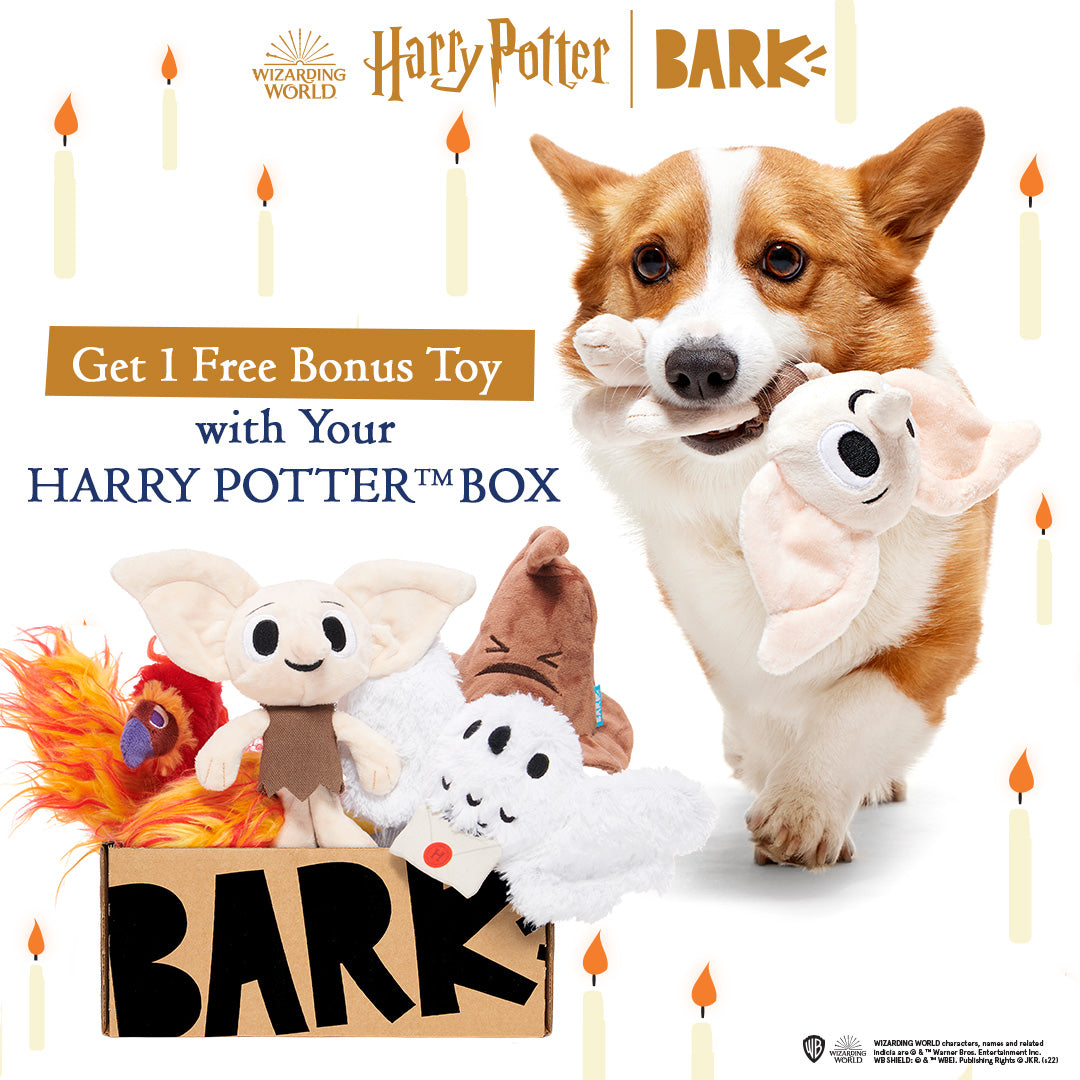 BarkBox + Harry Potter (1 Free Extra Toy): 12 Month Subscription