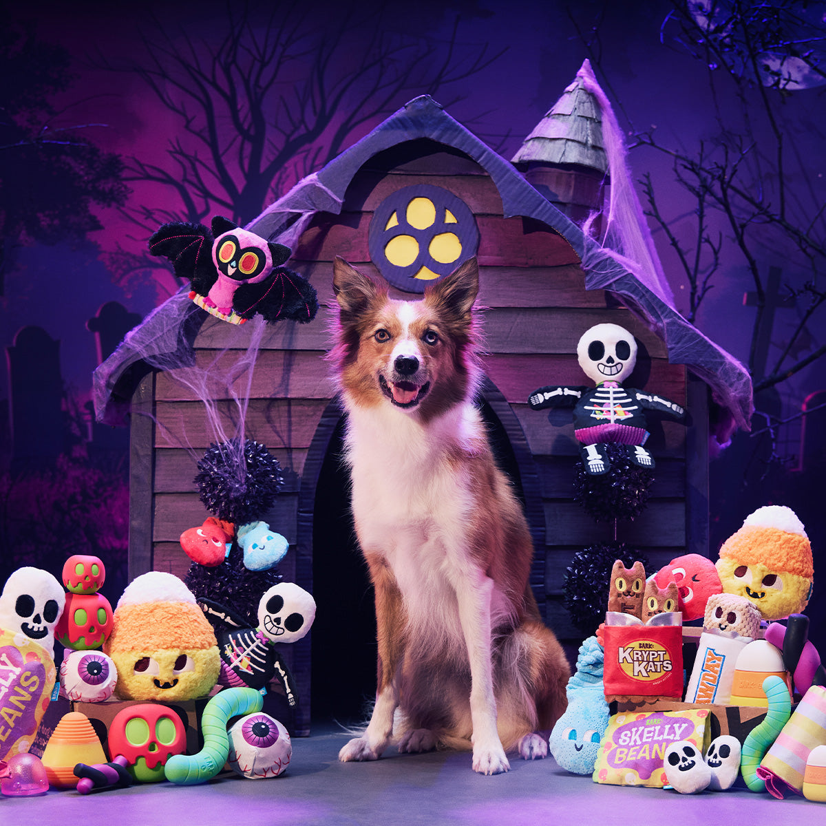 BarkBox + Free Double Deluxe Halloween Theme: 12 Month Subscription