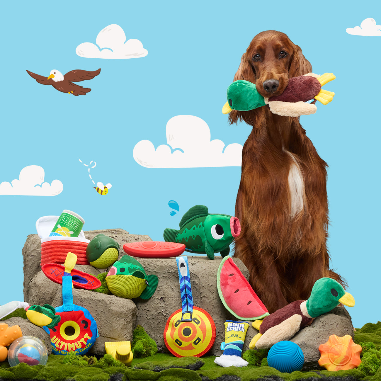 BarkBox Monthly Subscription