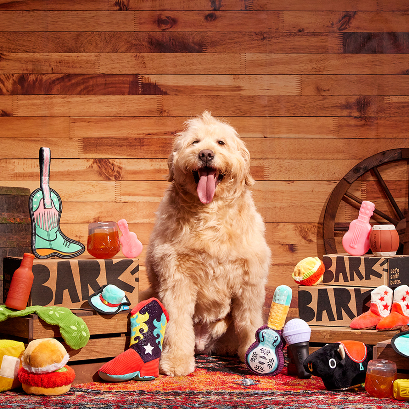 BarkBox 6 Month Subscription