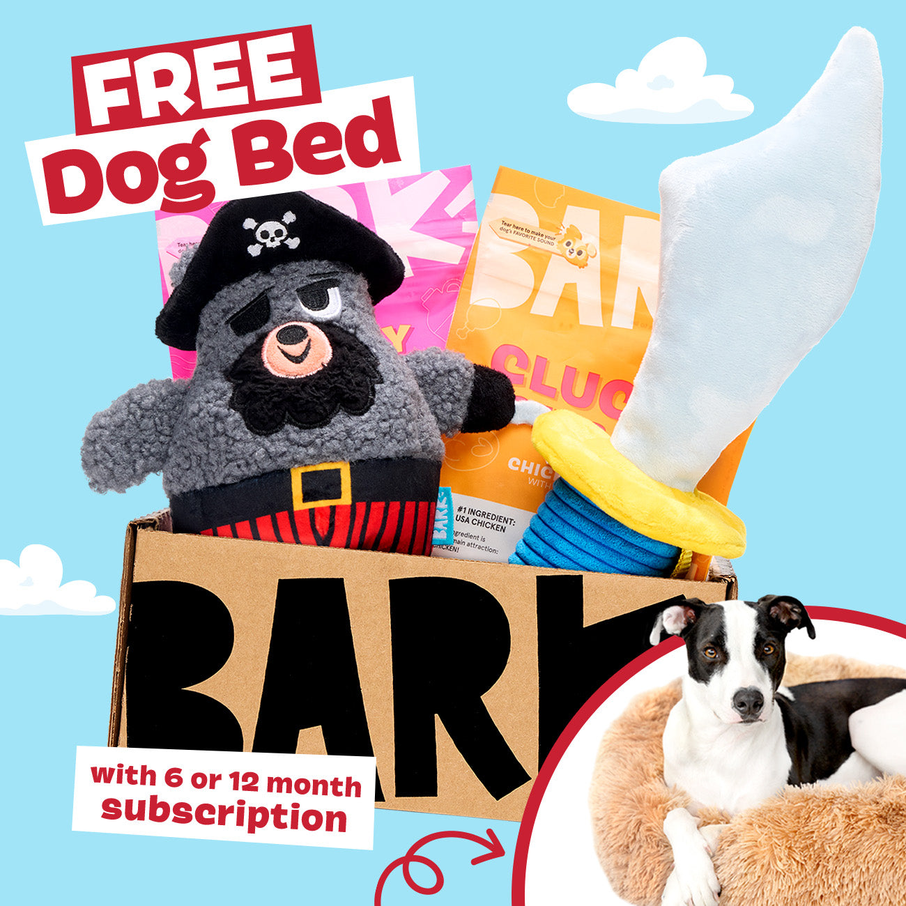 BarkBox + Free Dog Bed: 12 Month Subscription