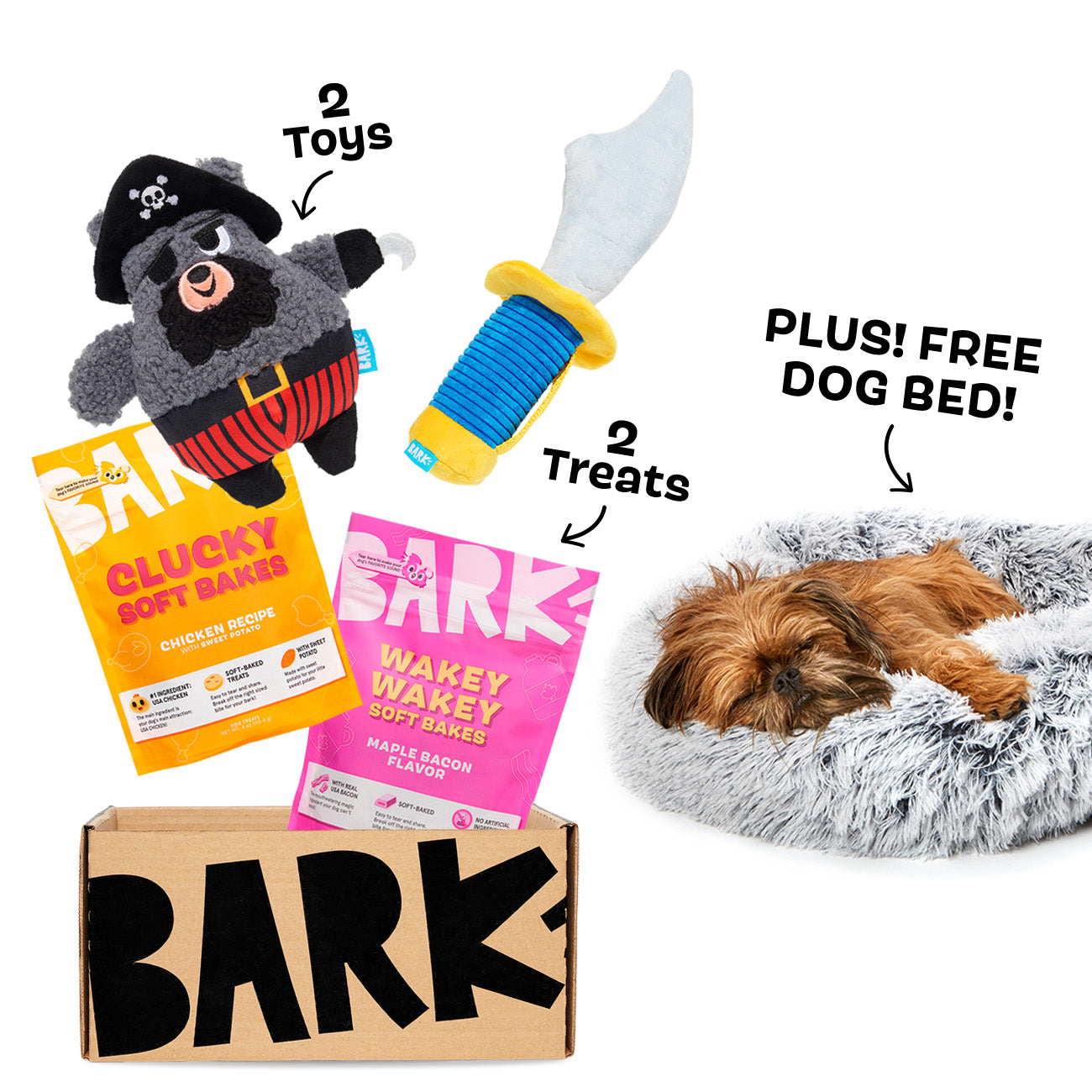 BarkBox + Free Dog Bed: 12 Month Subscription