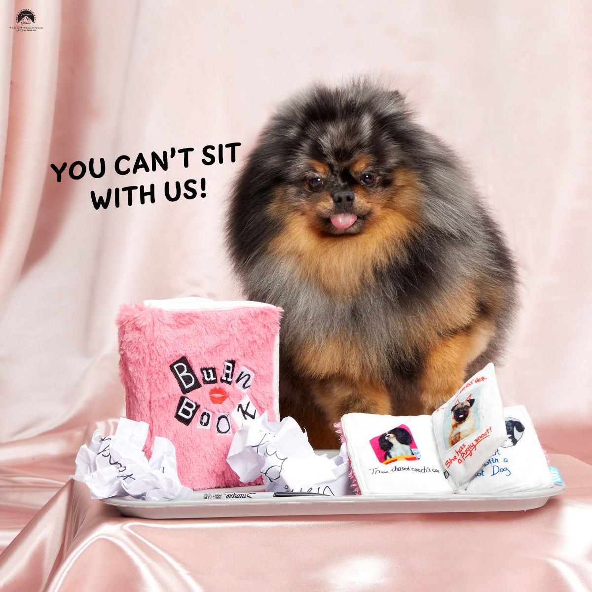 Burn Book Dog Toy – BARK
