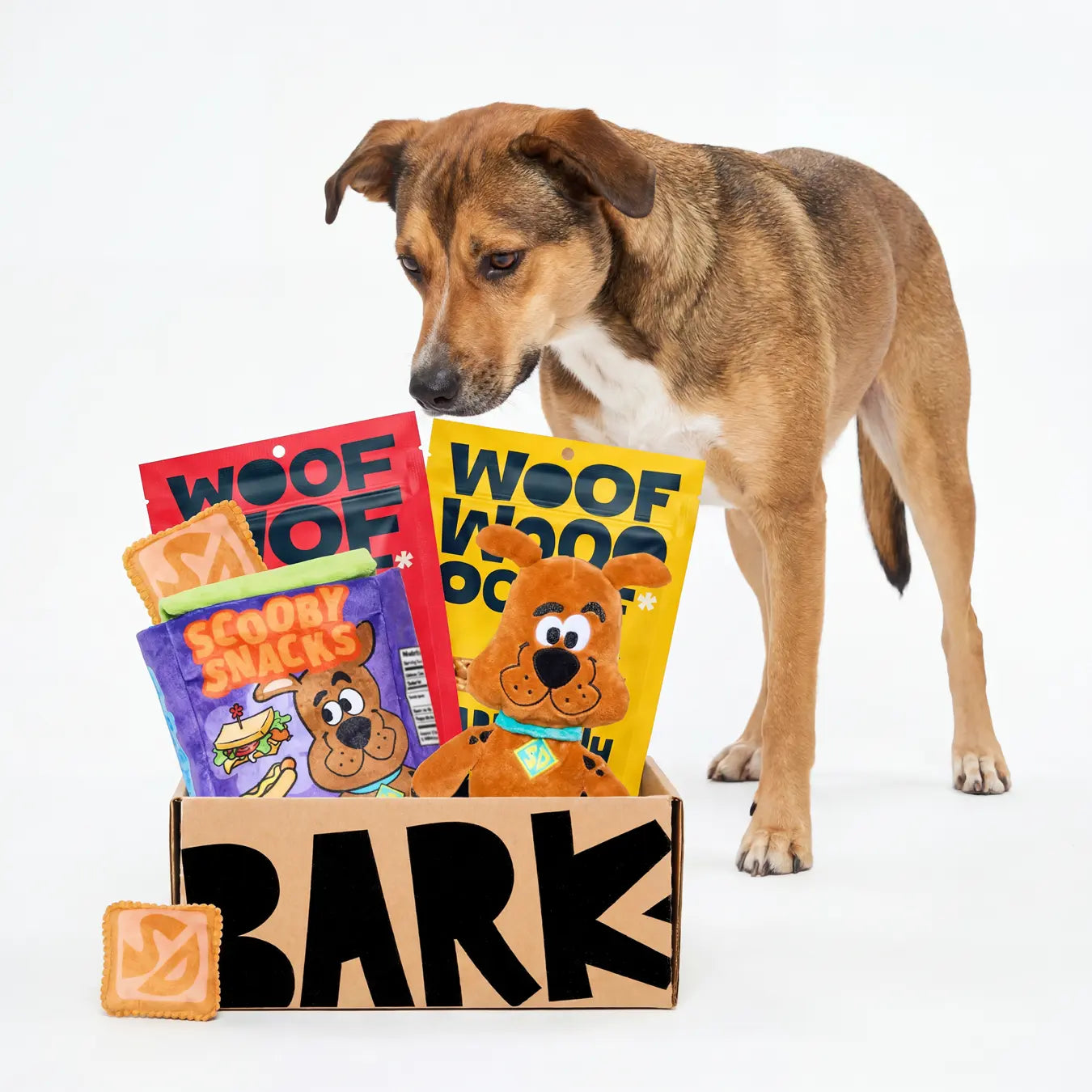 BARK 12 Month Subscription - Scooby-Doo™ Double Deluxe First Box