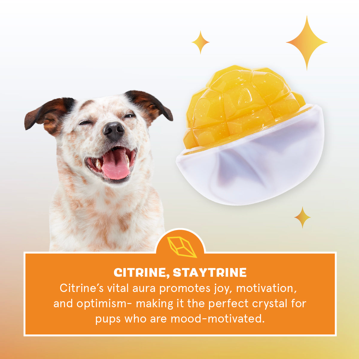 Crystal of the Month Club, Super Chewer Durable Monthly Dog Toys