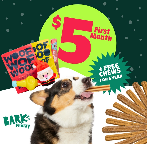 Our Biggest Sale of the Year