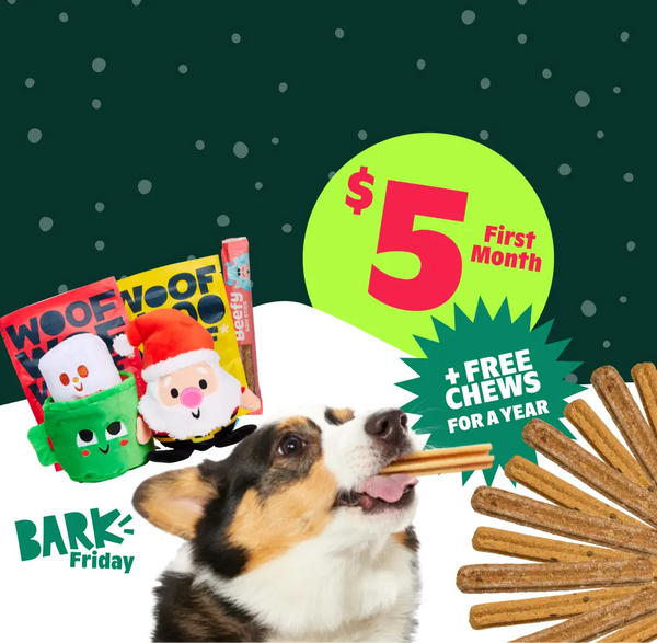 Our Biggest Sale of the Year