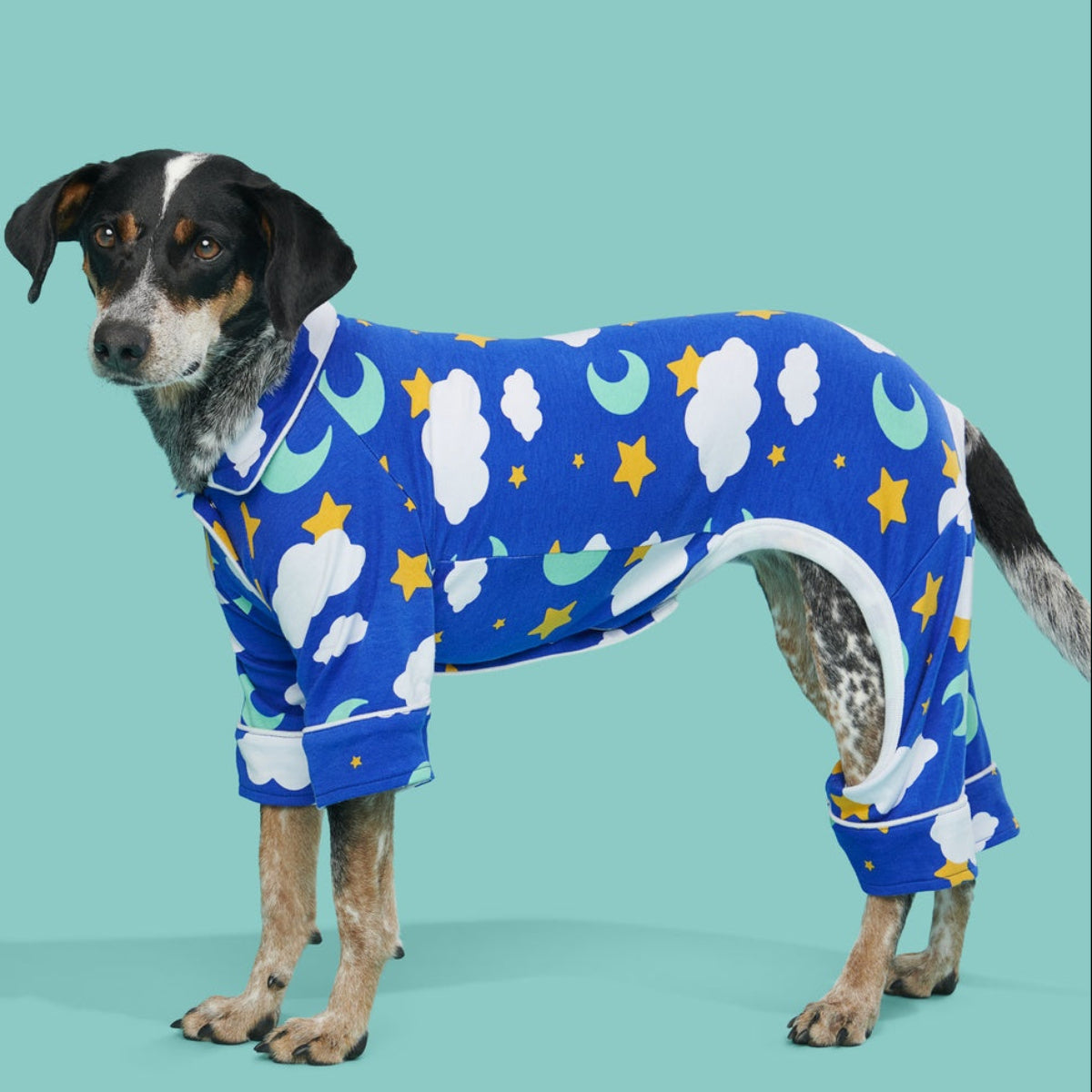 Slumber Party Dog Pajamas – BARK