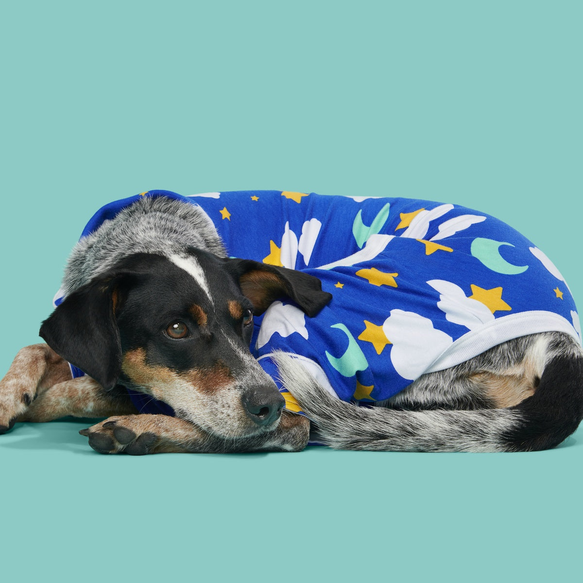 Slumber Party Dog Pajamas – BARK