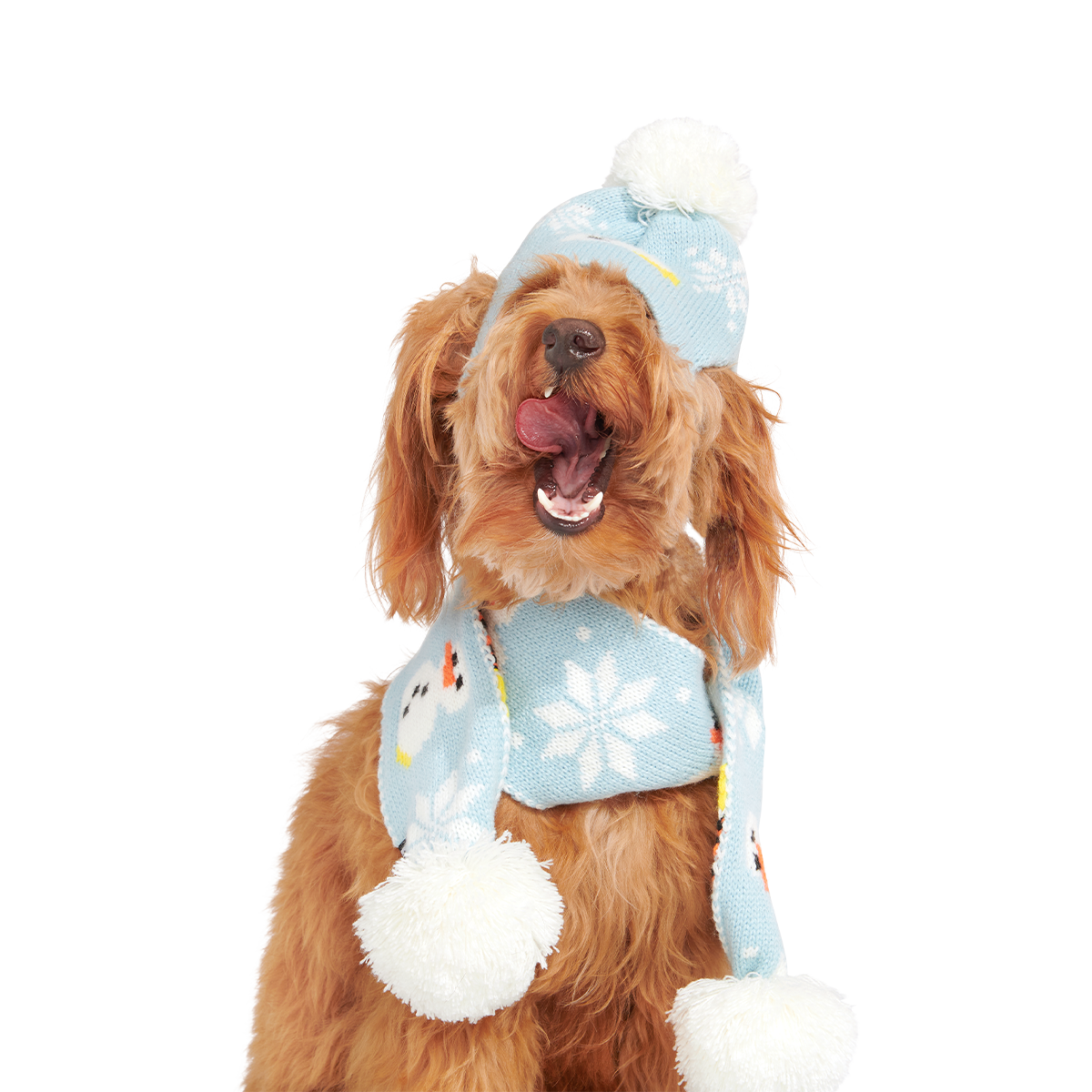 The Snowman Matching Set For Dogs And Humans