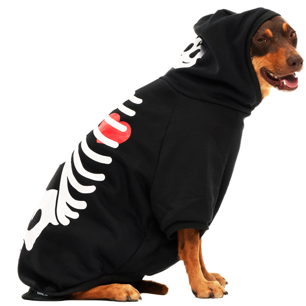 Skeleton Hoodie