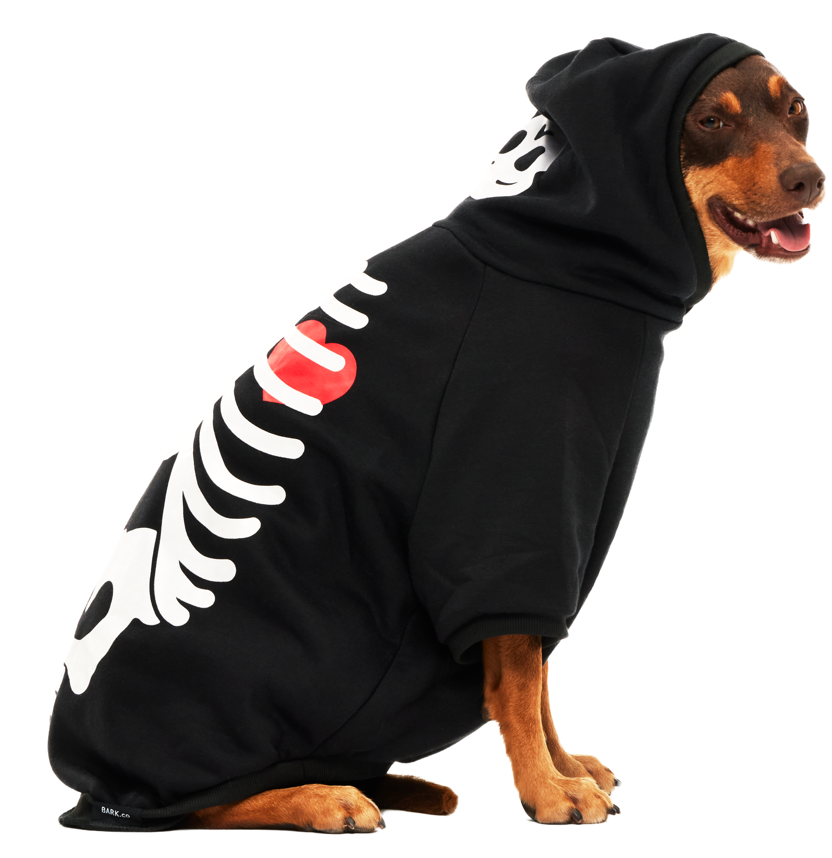 Skeleton Hoodie - Main Image