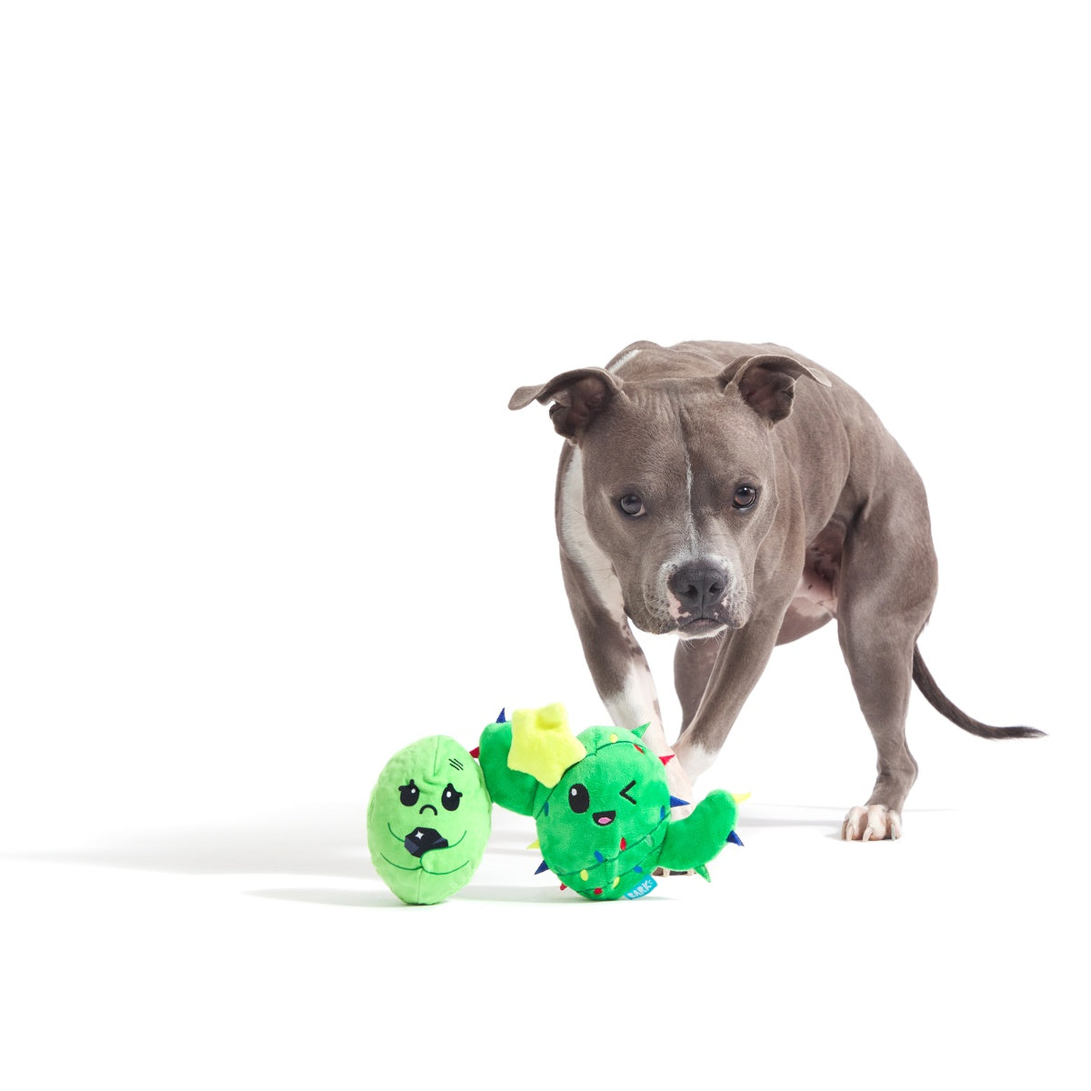 Consuela the Christmas Cactus Rip & Reveal Plush Dog Toy