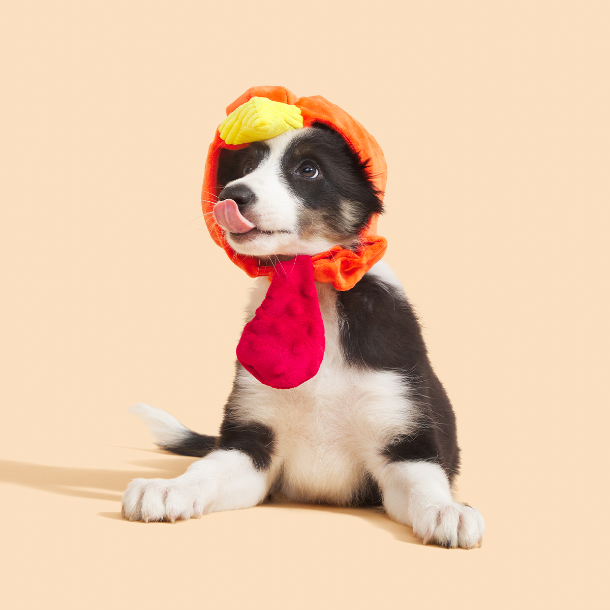 Gobble Head Plush Wearable + Tug Dog Toy