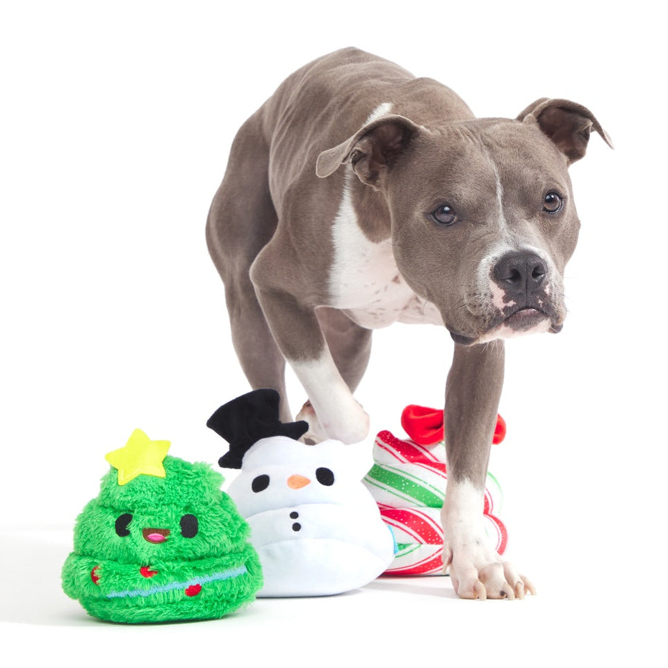 Crappy Holidays Multipart Plush Dog Toy Bundle