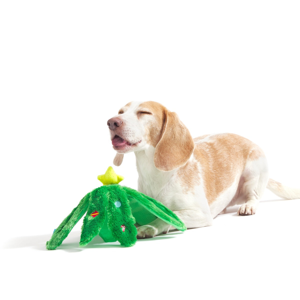 BOX-ATB_211194_HOLLY-JOLLY-OLLIE-XS-S_2356_cropped#Size_S