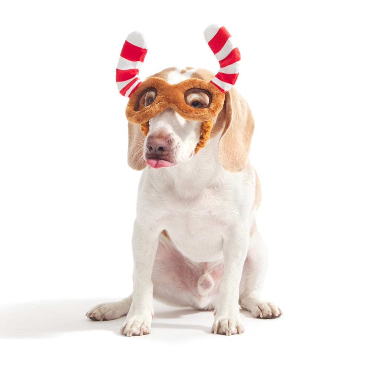 Howliday Spectacles Pack