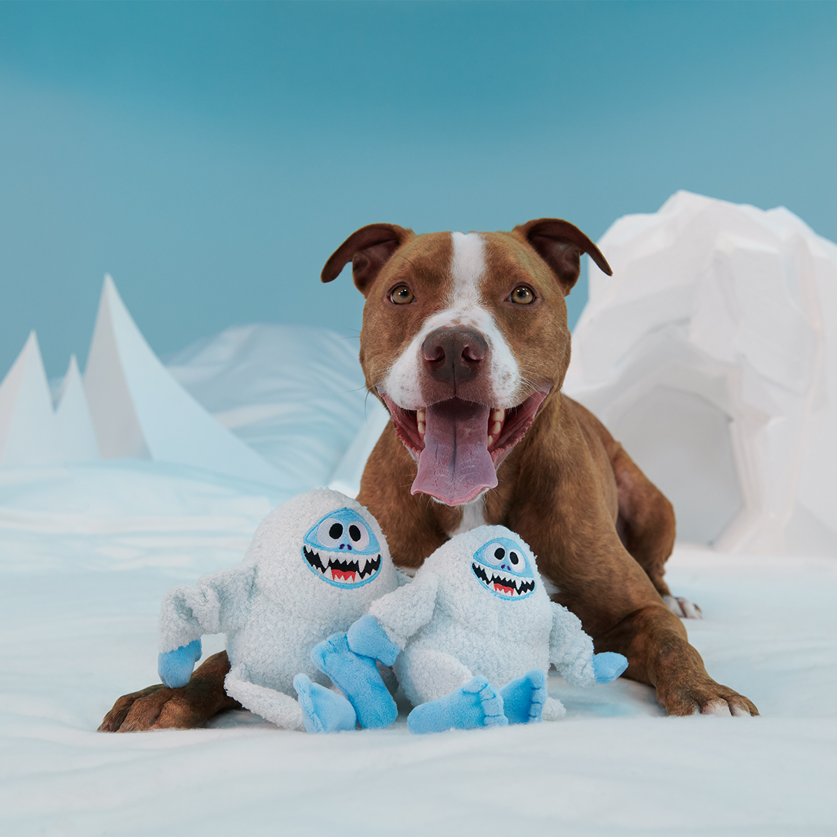 Bumble™ Plush Tug Dog Toy