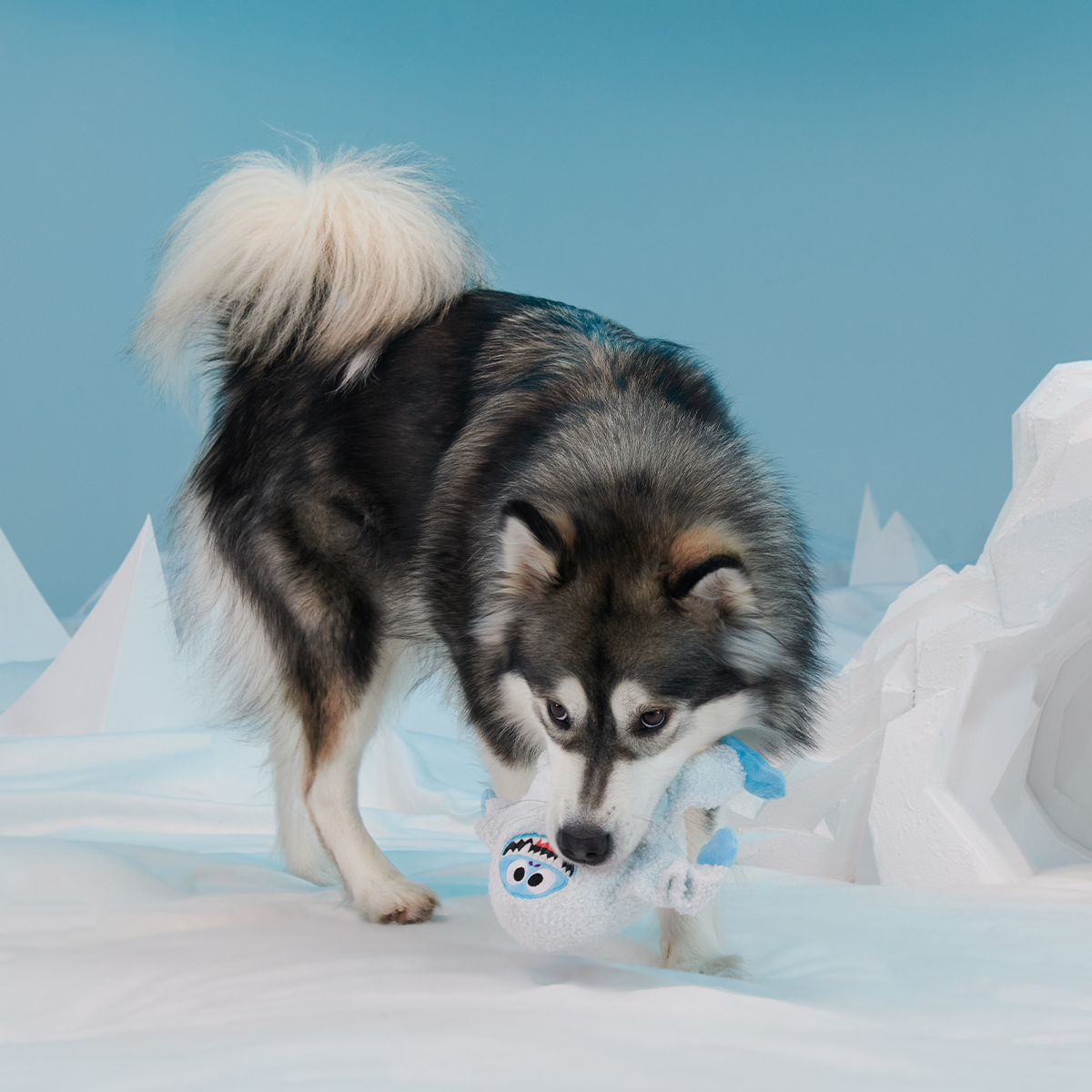 Bumble™ Plush Tug Dog Toy