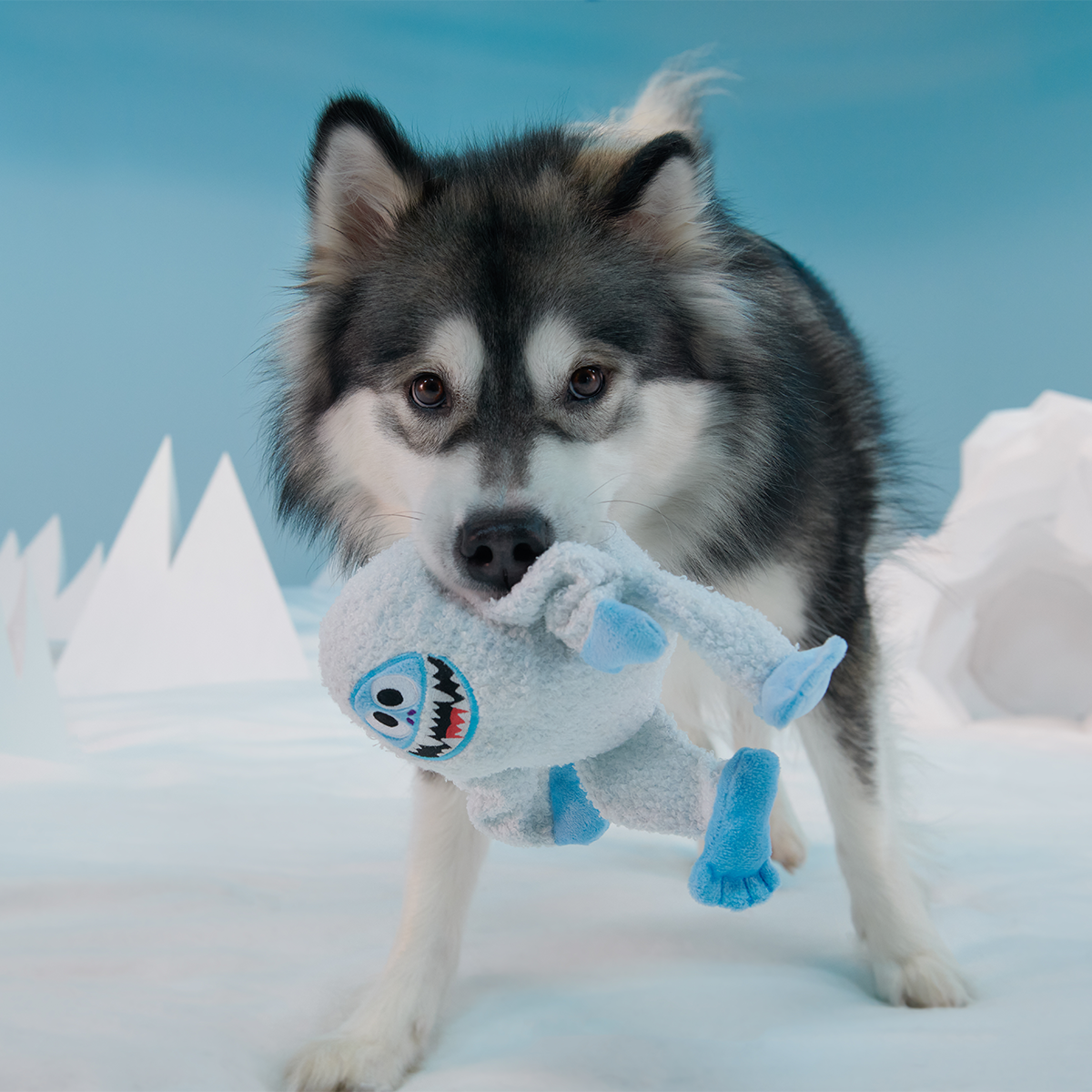 Bumble™ Plush Tug Dog Toy