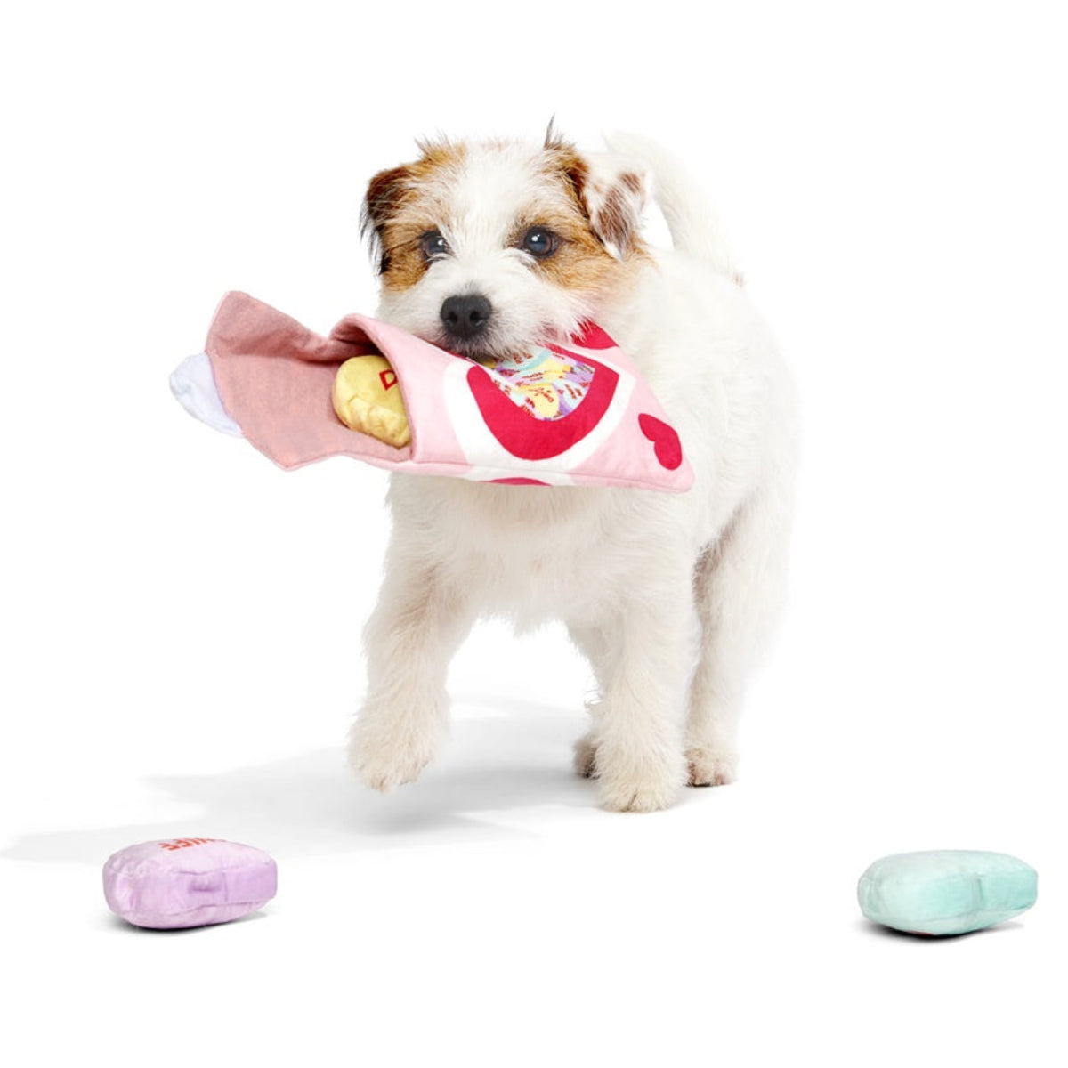 Squeak Hearts Plush Multi-Part + Enrichment Dog Toy