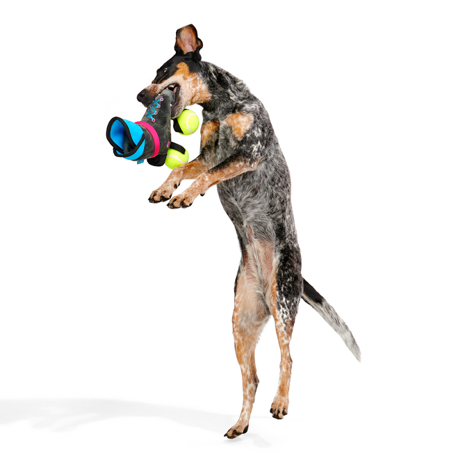 Way Rad Rollerblades Plush Tug Dog Toy