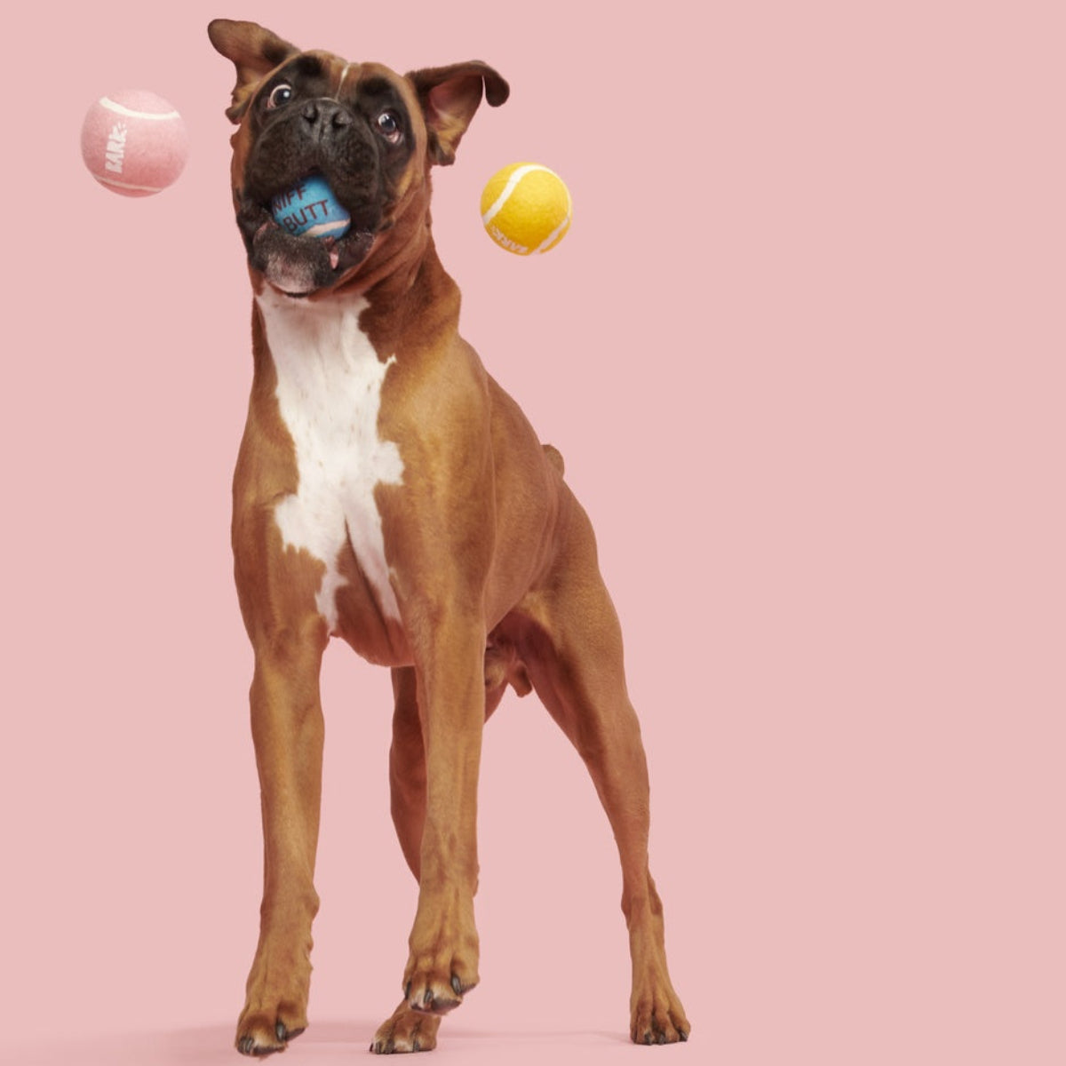 TennisBallClub#Size_M/L