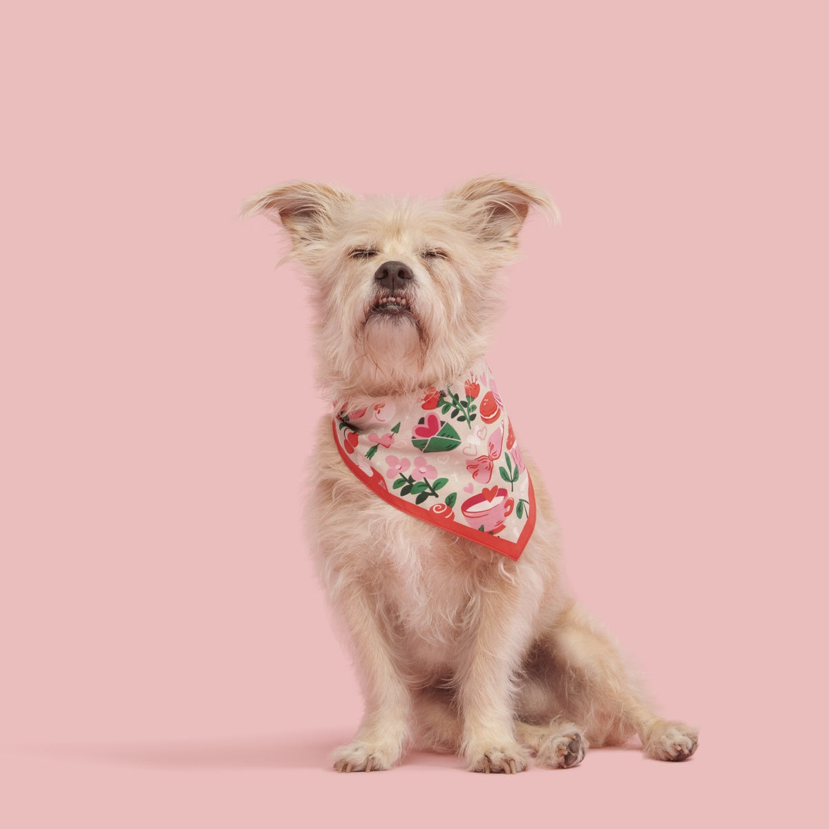 Valentine's Day Dog Bandana