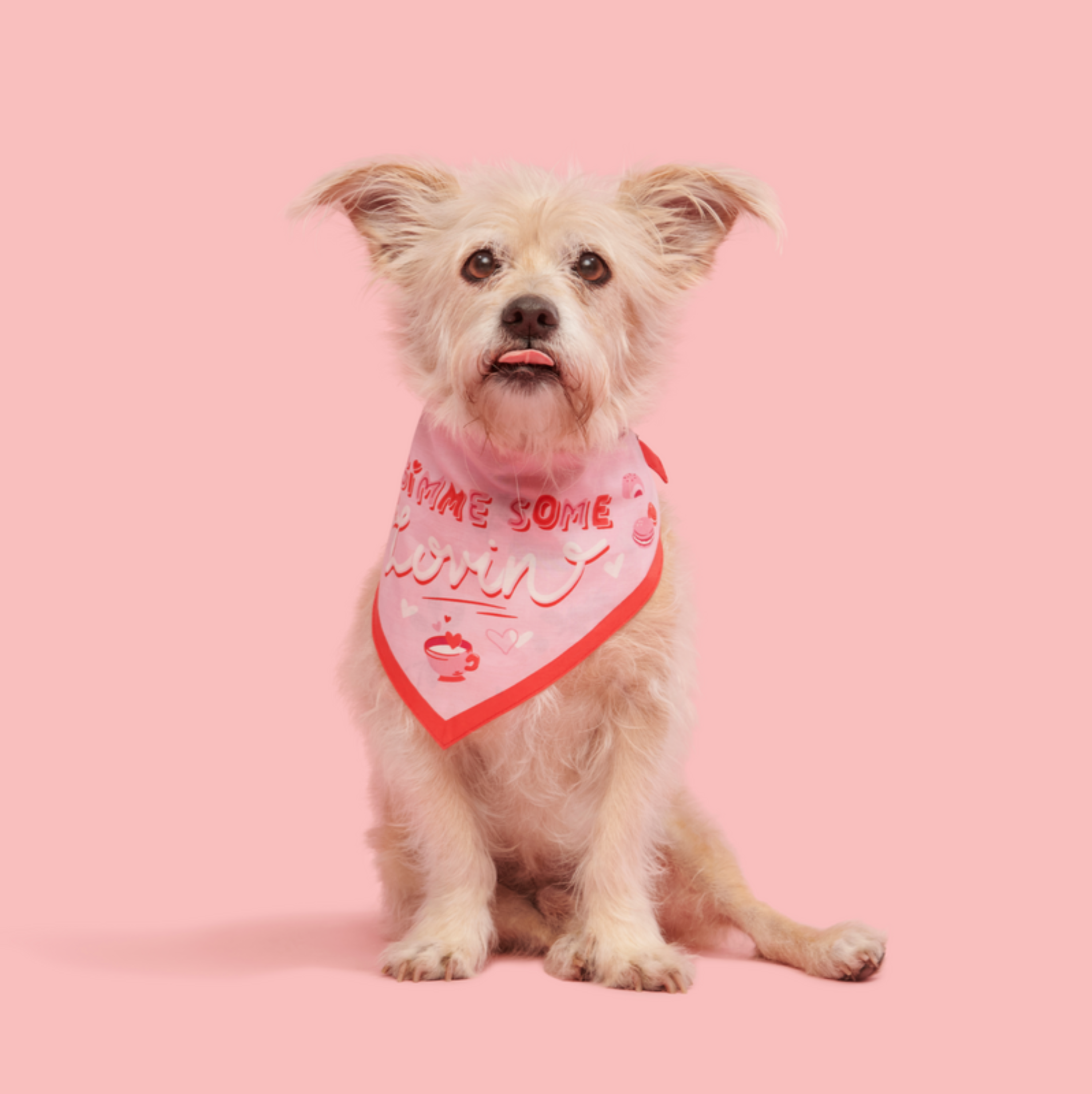 Valentine's Day Bandana