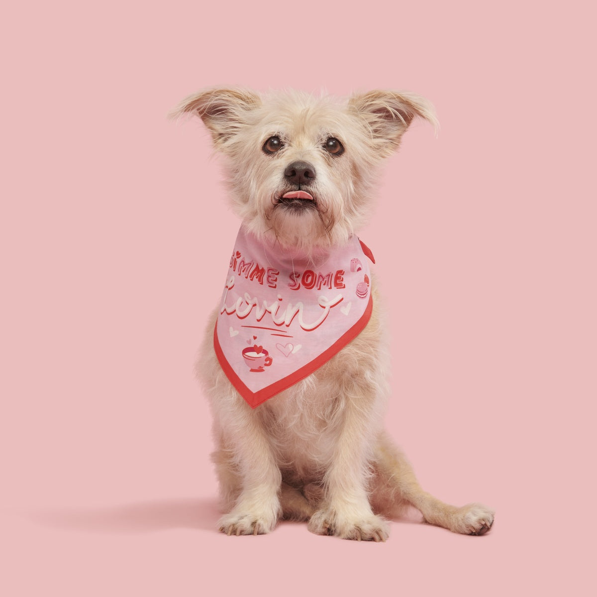 Valentine's Day Dog Bandana