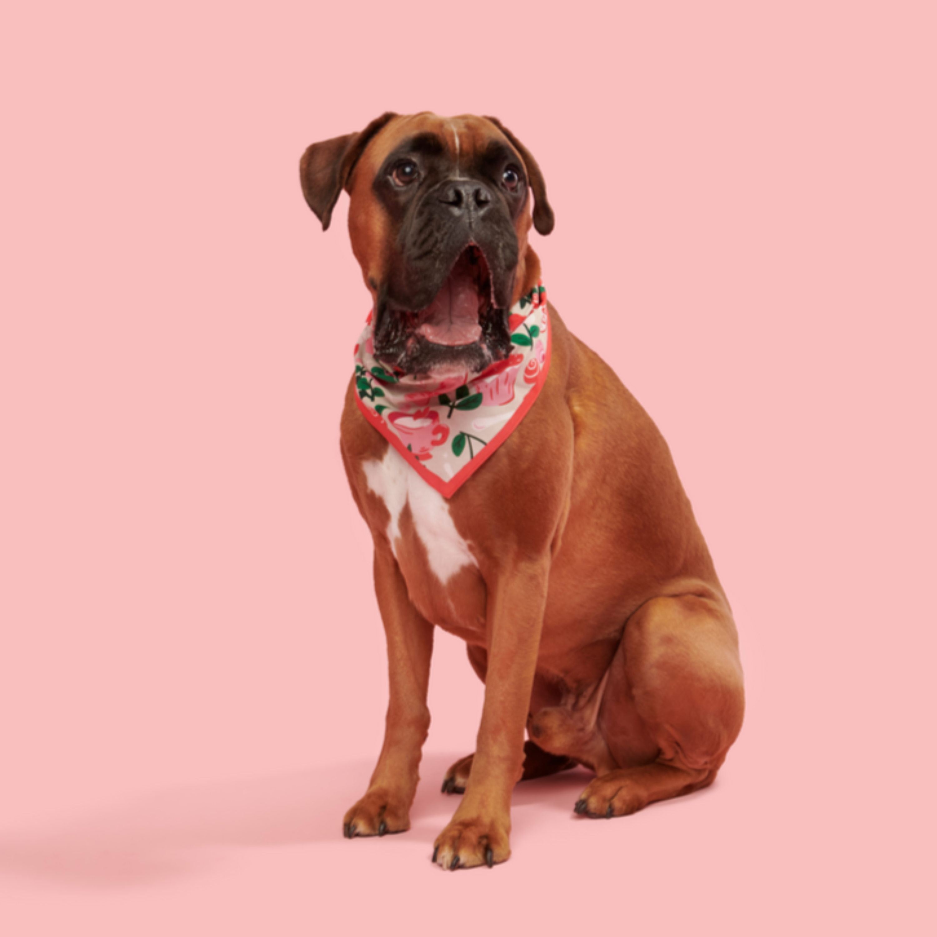 Valentine's Day Bandana