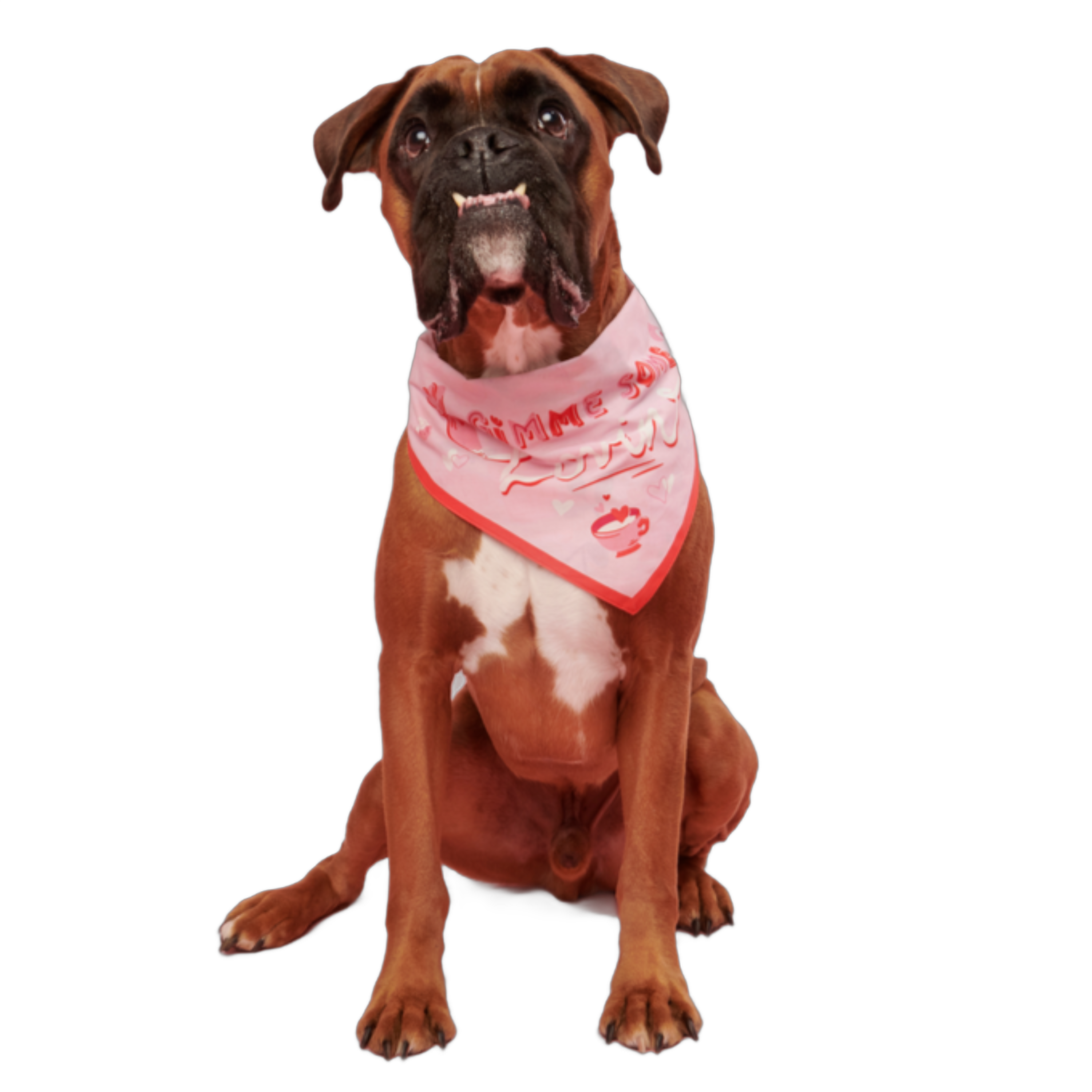 Valentine's Day Bandana