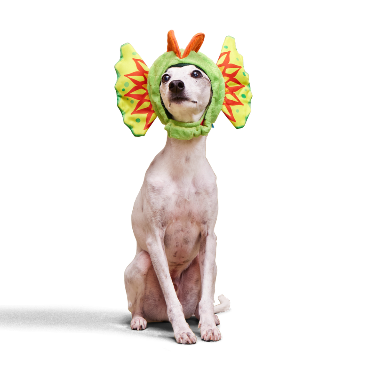 Spittin' Image Dino Collar