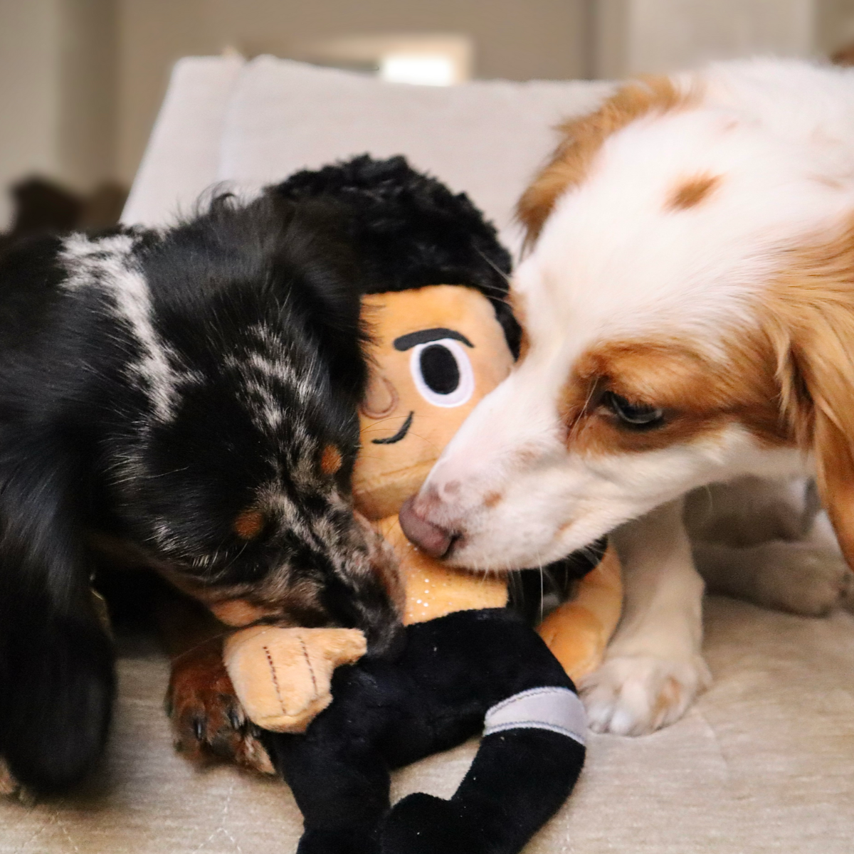 BOX-ATB_212416_LIFE-FINDS-A-PLAY-M-L_MYLO-MEL_1-2000x1583-f380fd3_29ddec4b-39f2-4ad3-a56e-5cf62505fa8c.png#Size_S